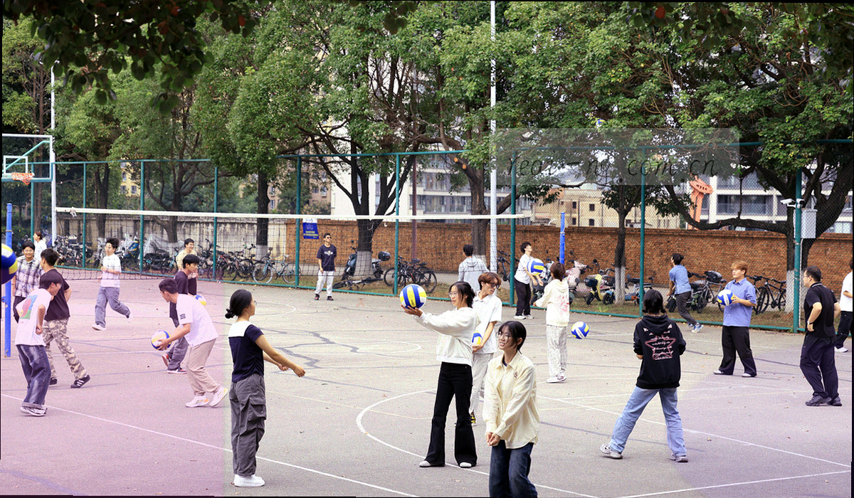 青绿与暖橙两色块对照的主客场抽象图